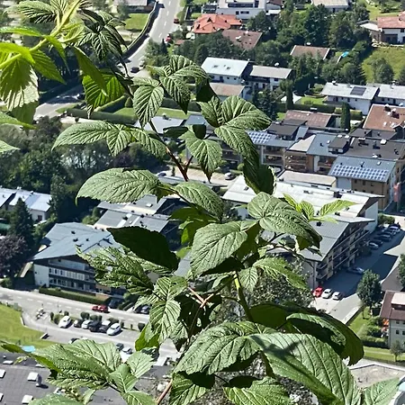 Murmeltier-stube Zell am See