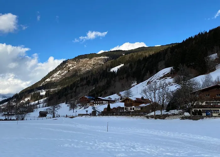 Murmeltier-stube