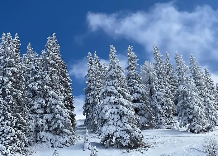 Apartman Murmeltier-stube