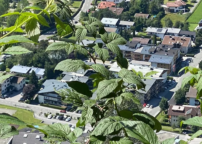 Murmeltier-stube Τσελ αμ Ζέε